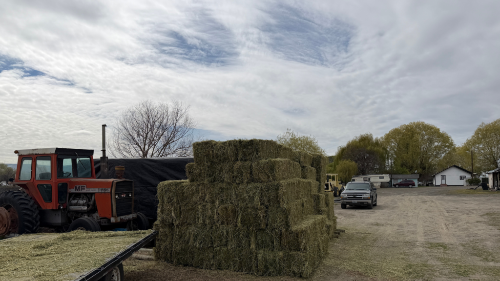 Stacked hay bales beside a red tractor on a farm under a cloudy sky.