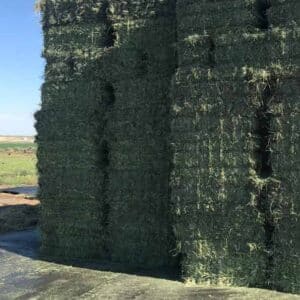 Timothy-Hay stack