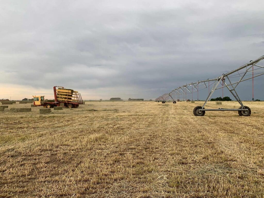 hay field