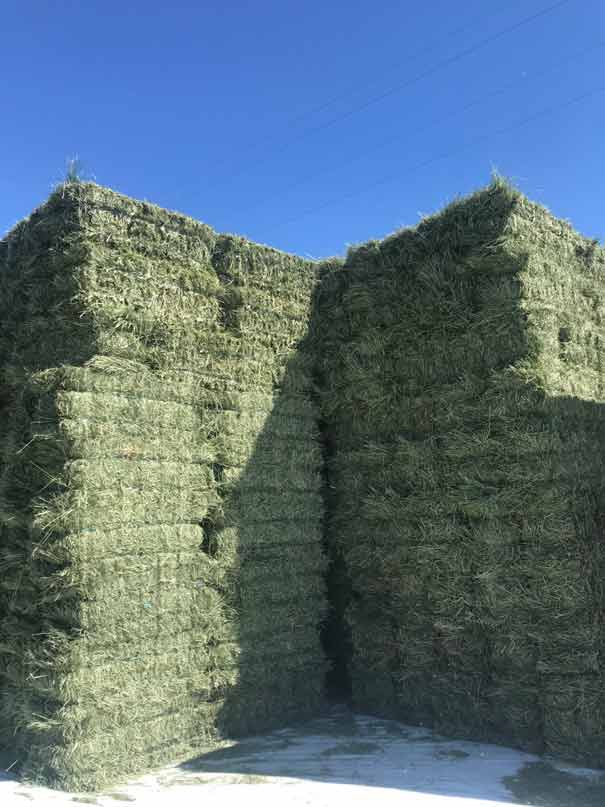 Orchard hay stack from Ohana Farms