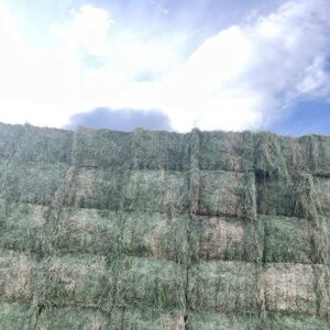 3x4 alfalfa ohana hay from Ohana Farms
