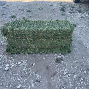 Alfalfa 2nd Cutting hay bale-Ohana Farms