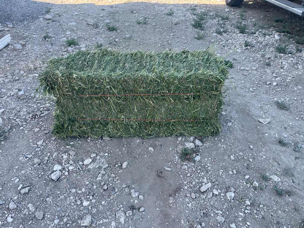 Alfalfa 2nd Cutting hay bale-Ohana Farms