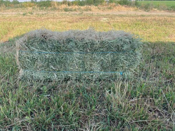 Feeder Hay Bale, Ohana Farms Feeder hay