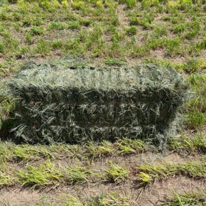 Orchard Alfalfa Mix Hay Bale, Ohana Farms