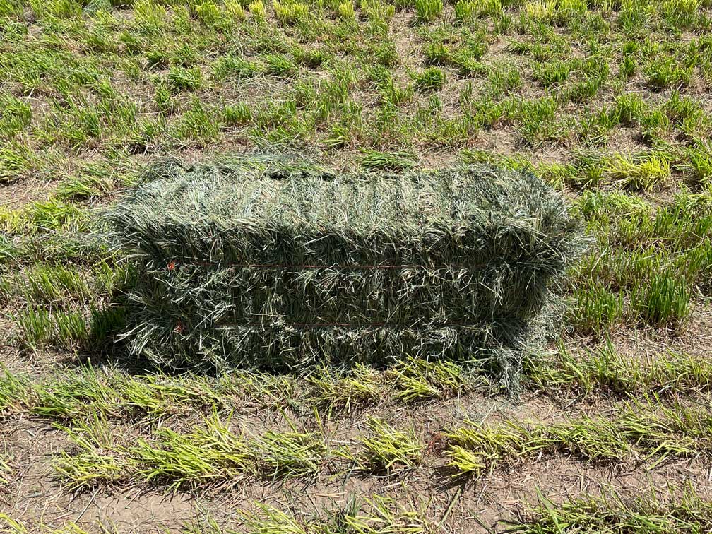 Orchard Alfalfa Mix Hay Bale, Ohana Farms