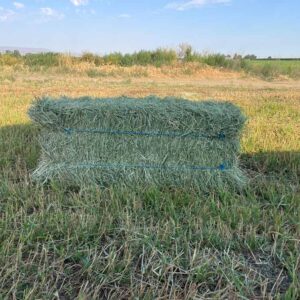 Timothy Hay bale, Ohana Hay Timothy Grass Hay Bale