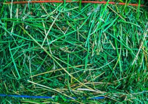 Ohana Farms Alfalfa/Orchard Mix Hay