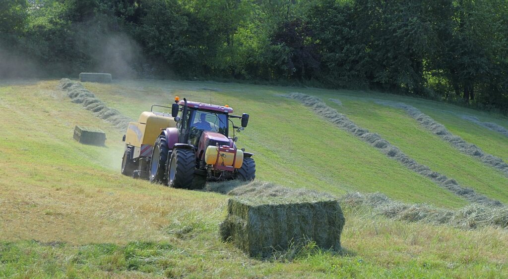 tractor hay harvesting at Ohana Farms, the hay the has been raked will get turned into rectangle hay bales where they will get picked up later.