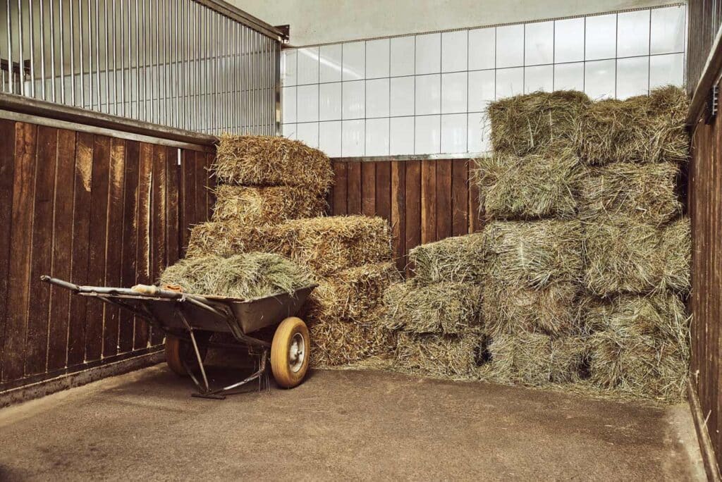 Dry hay stacks in rural wooden barn interior and wheel barrow filled with hay