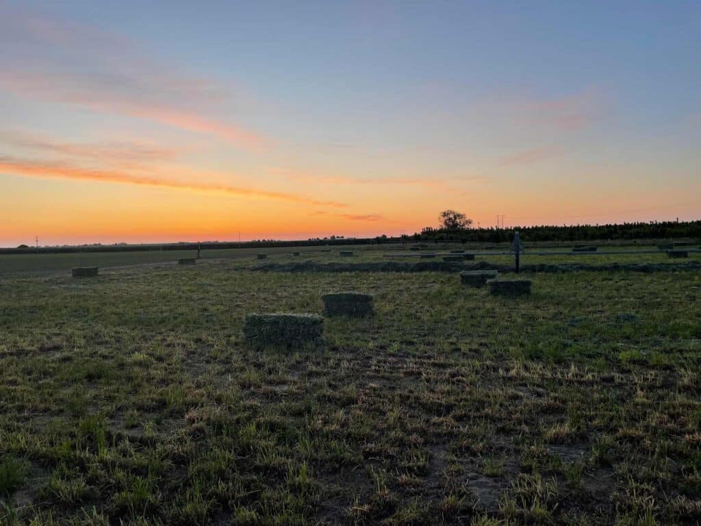 Ohana Farms Ohana Hay