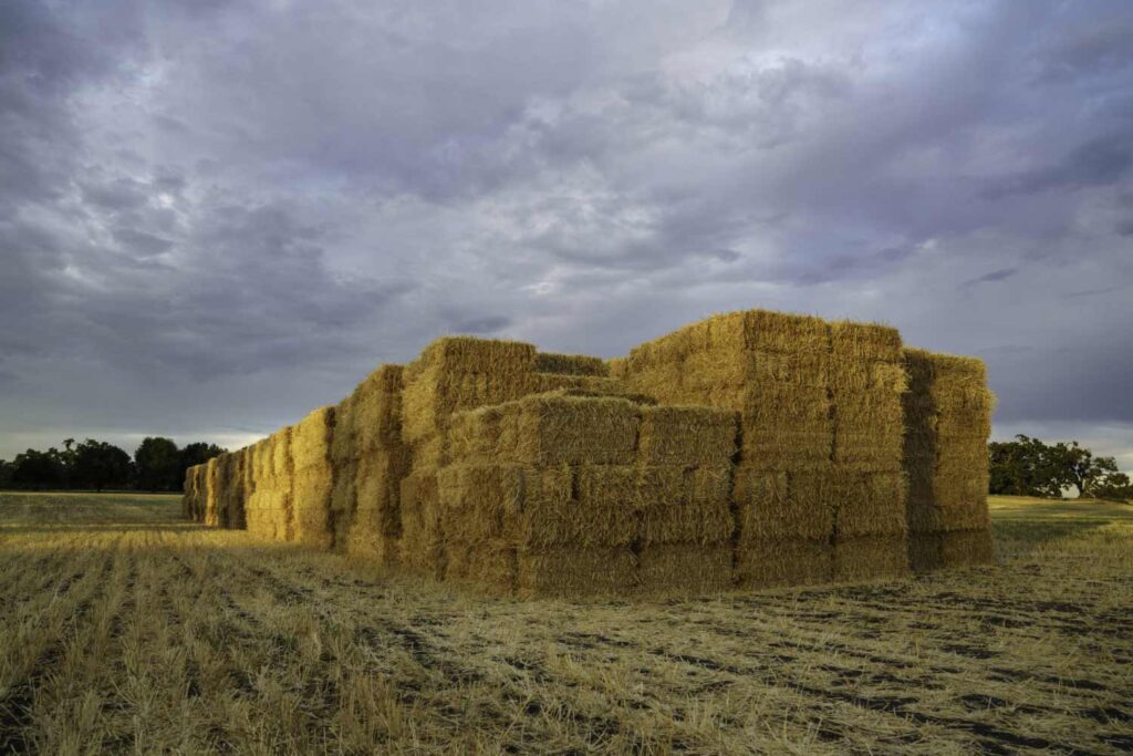 Large hay stacks with cloudy skies