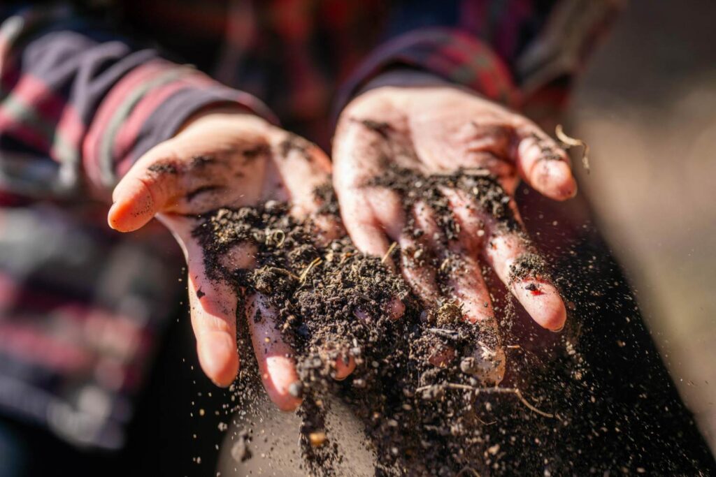 hands holding health soil.