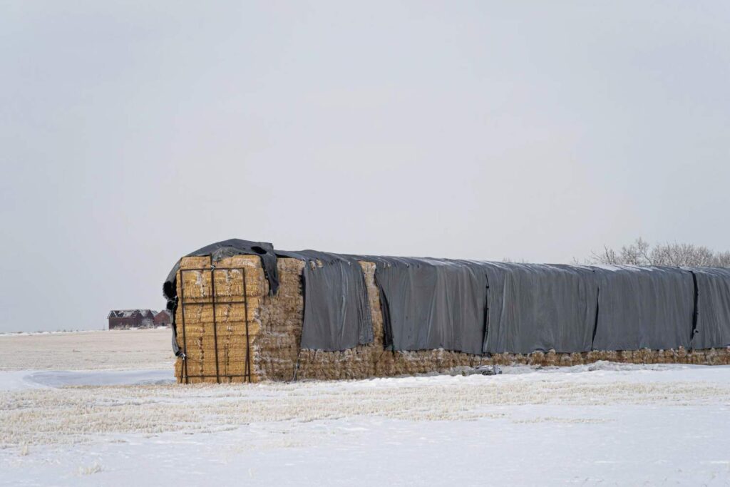 Winter hay bales stored under tarp with snow around