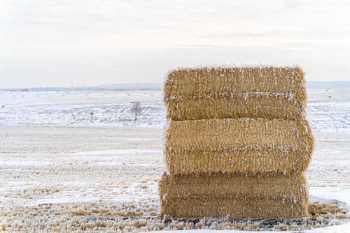 Hay stack under snow