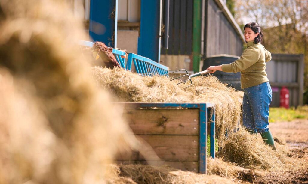 Woman mixing a large batch of hay