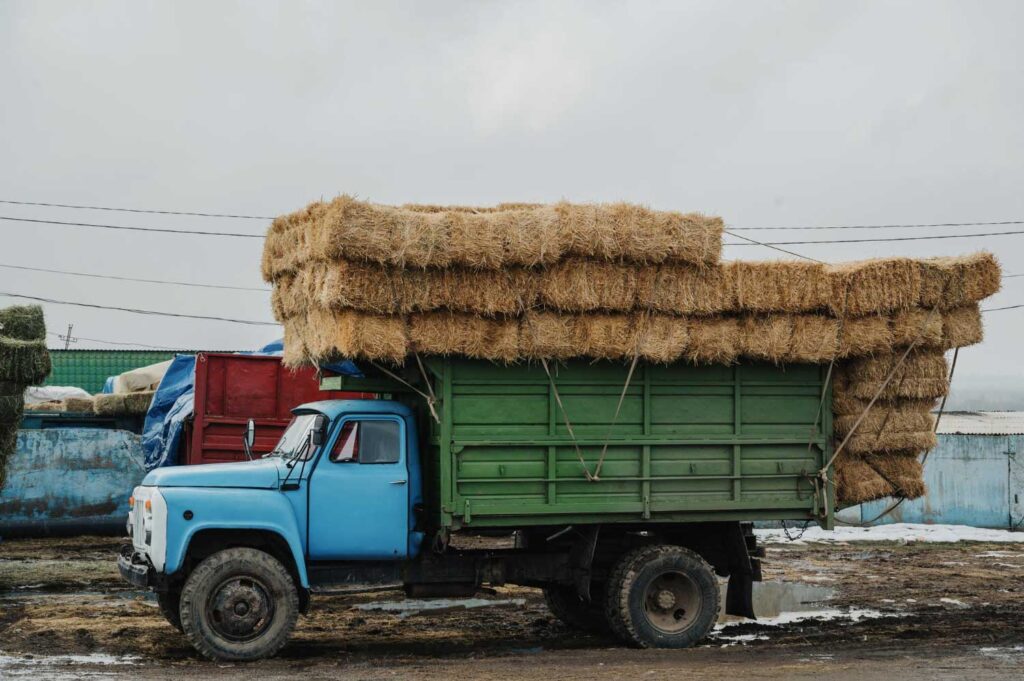 Transportation of stacked hay bales on a trailer on a rural road.