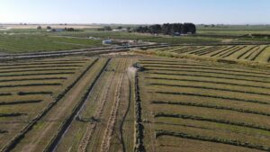 Large Hay farms with tractor plowing.