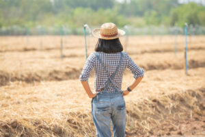 Young female farmer in hat standing and walk in field woman to inspecting in agricultural garden. Plant growth. Concept ecology, transport, clean air, food, bio product.