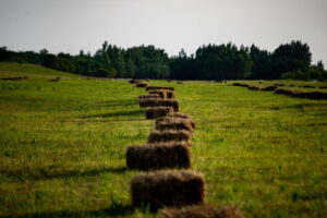 Beautiful landscape of a green field with haycocks under a cloudy sky