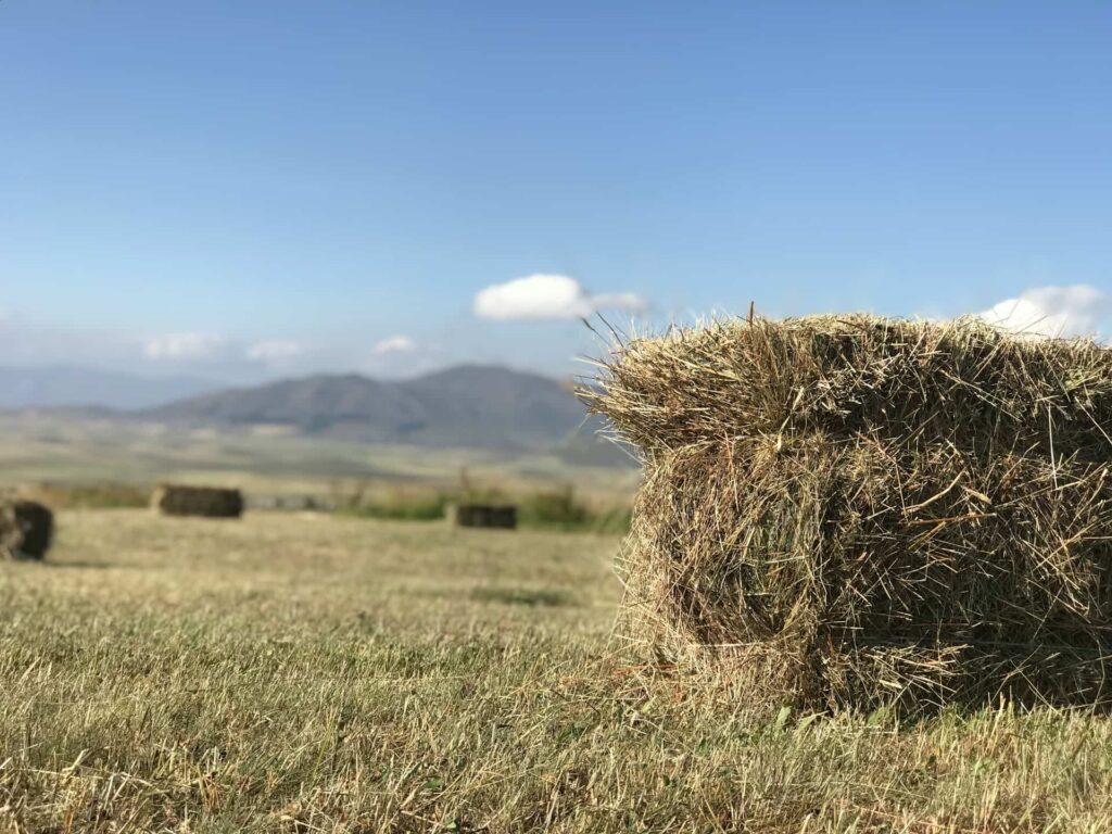 Angle of Hay Bale in a Hay Field