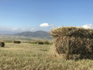 Angle of Hay Bale in a Hay Field