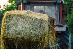 Close-up of hay bales on field