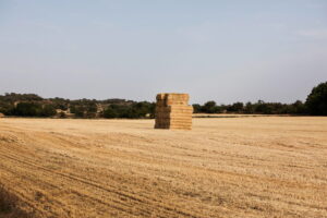 Big haystack in the middle of field at countryside