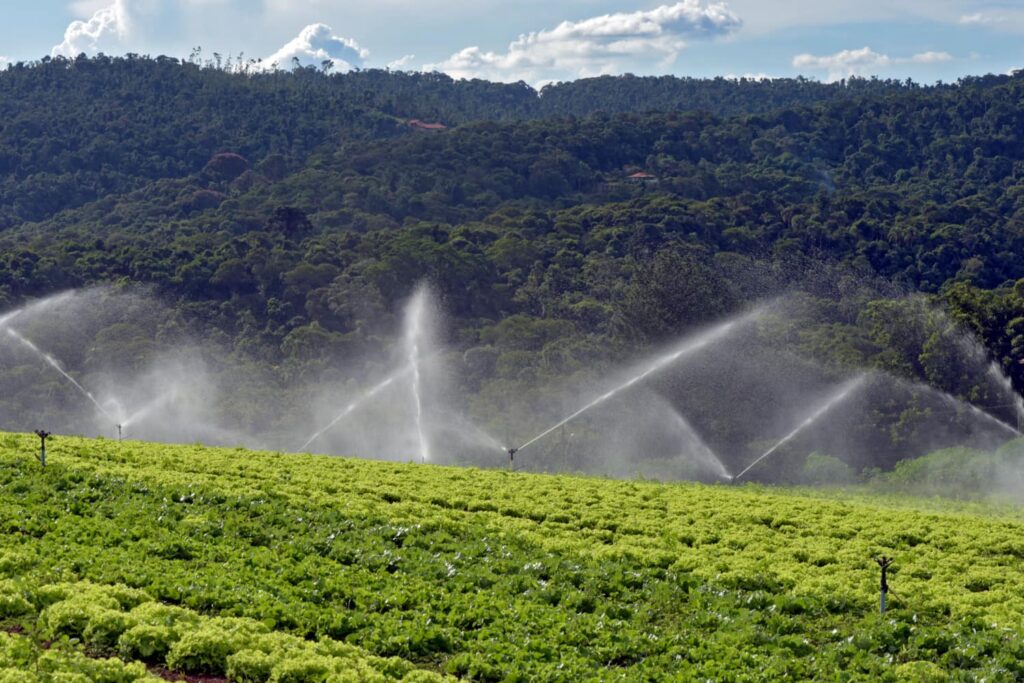 Irrigation system watering down the crops