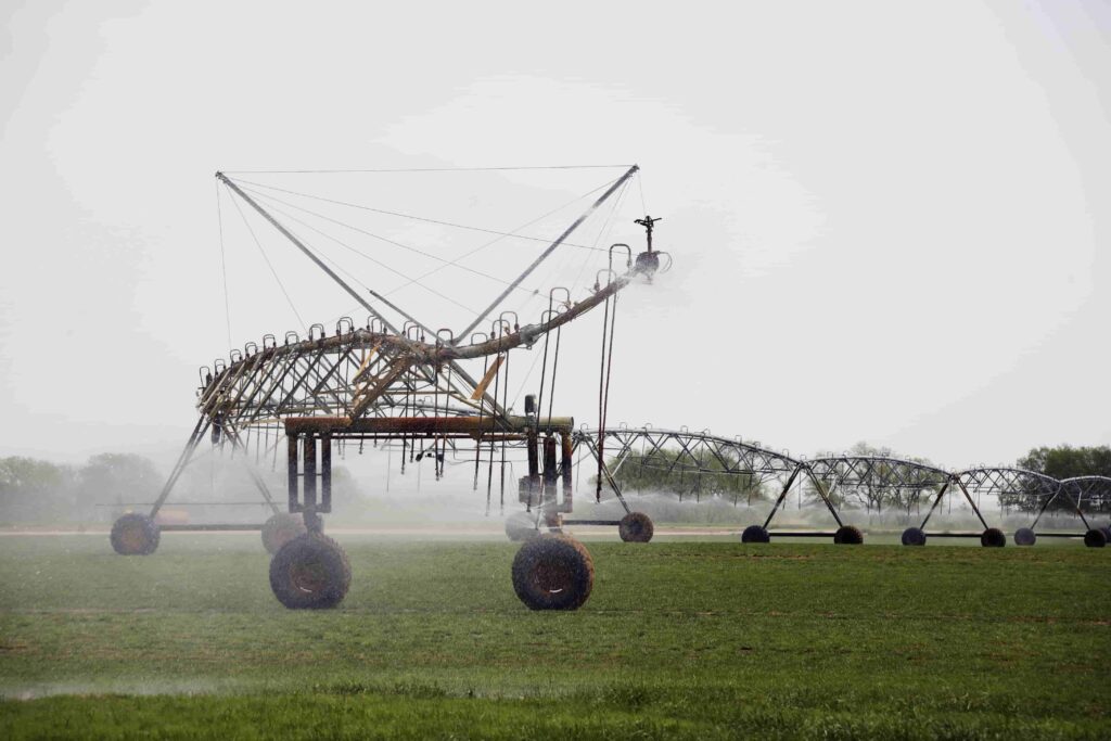 Cranes on field against clear sky