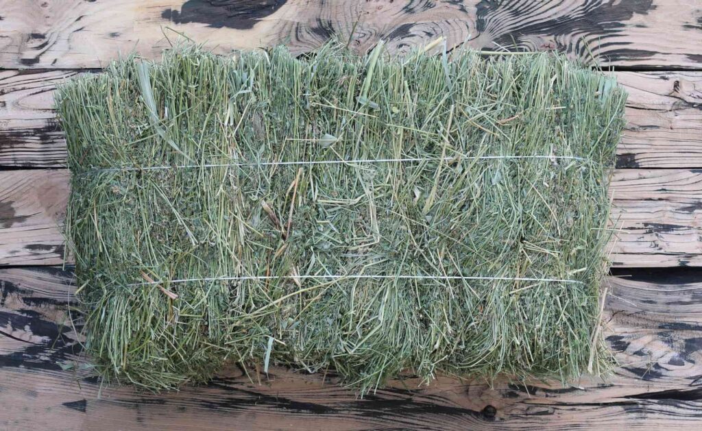 Haystack straw hay on a green lawn