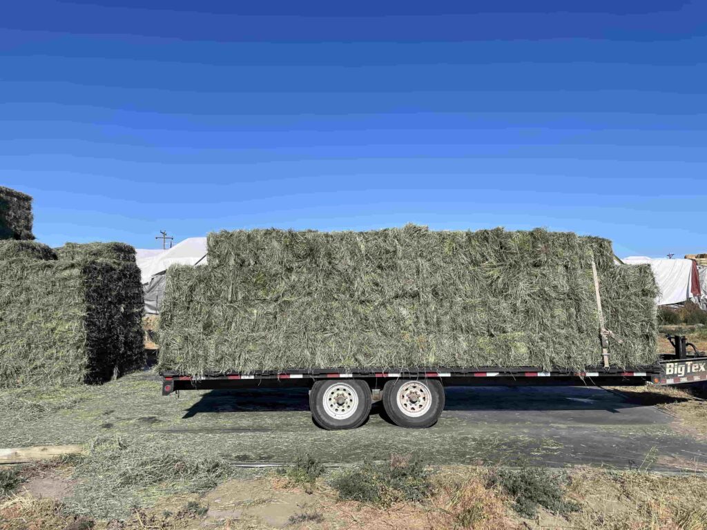 stacks of hay on a bed for transport