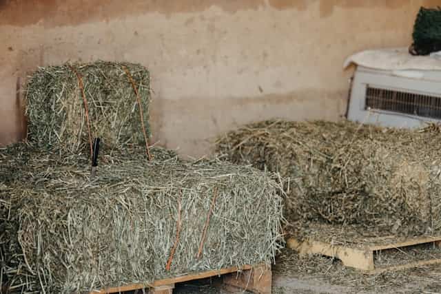 a couple of green hay bales on a wooden pallets