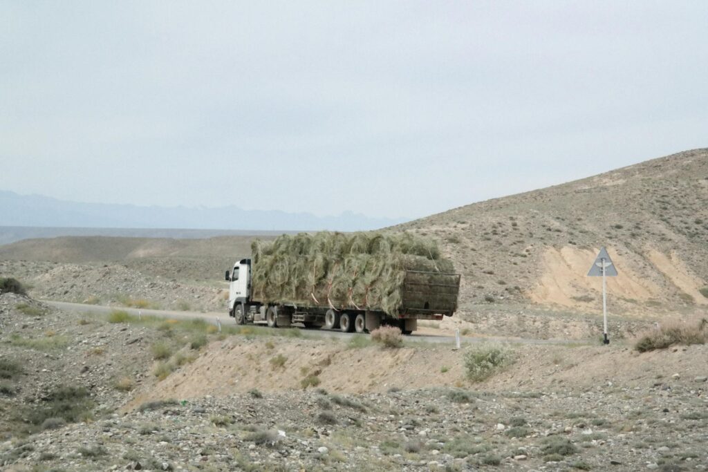 Hay bales on Truck for transportation
