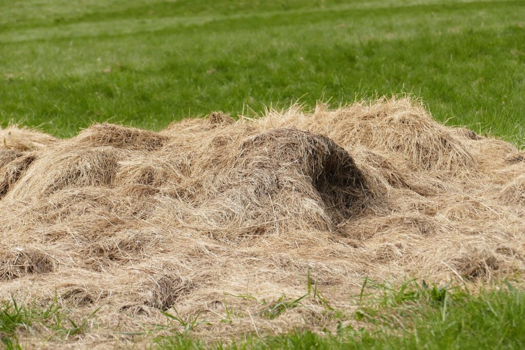 haystack of bad hay