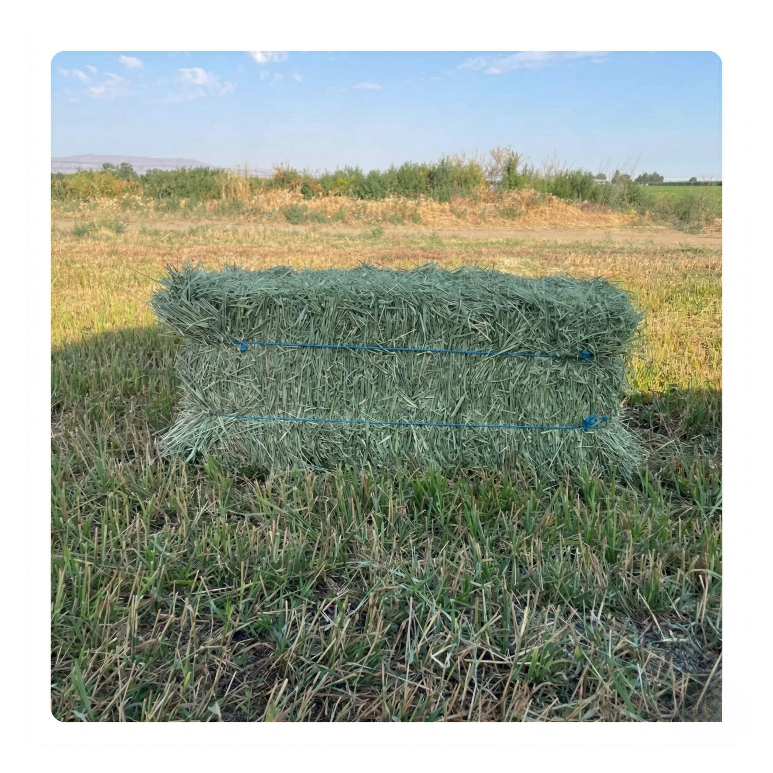 Products - Ohana Hay
