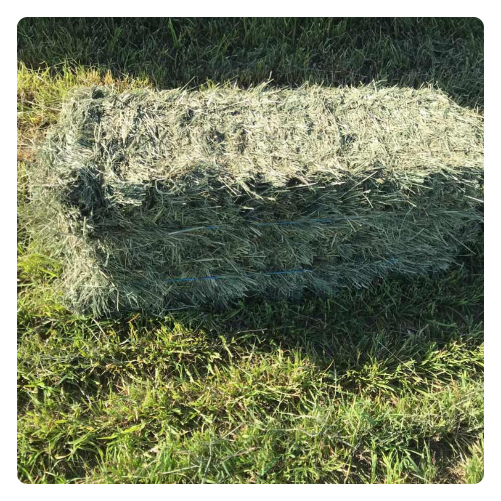 Wool Hay Products - Ohana Hay