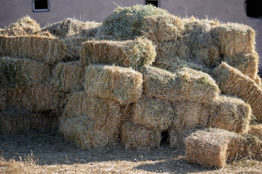 stacks of hay bales