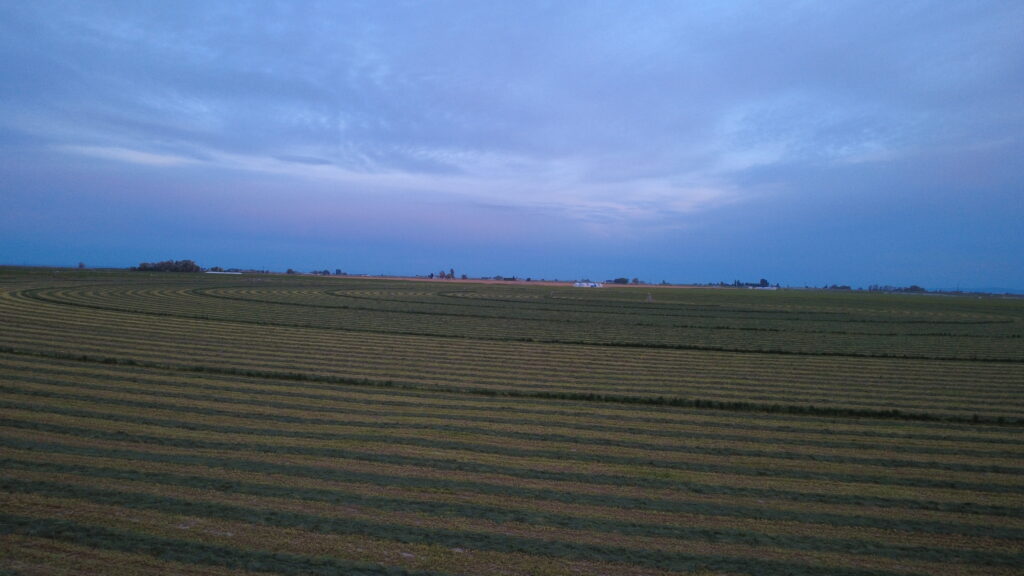 Premium hay field in Eastern Washington at Ohana Farms